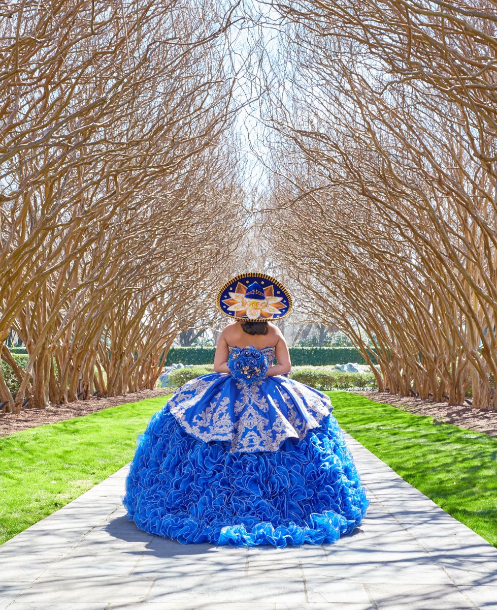 Quinceañera in a royal blue ball gown in a tree-lined path